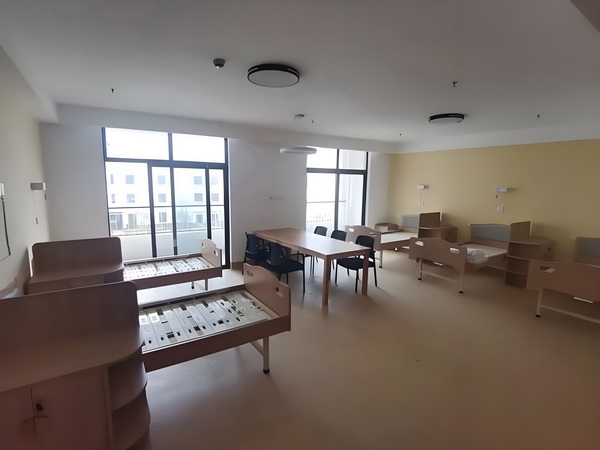 宸少蜜爱：带个包子做天后