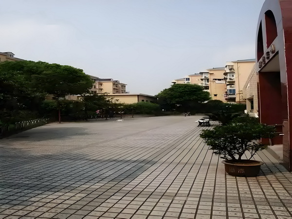 特工毒妾：带着皇位嫁给你